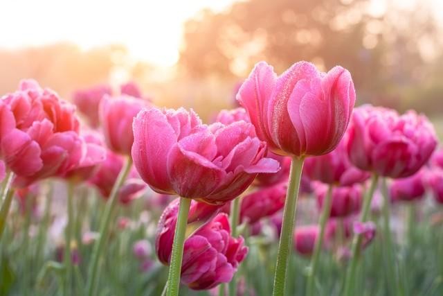 查看自己的快手账号是否被别人登录过的方法